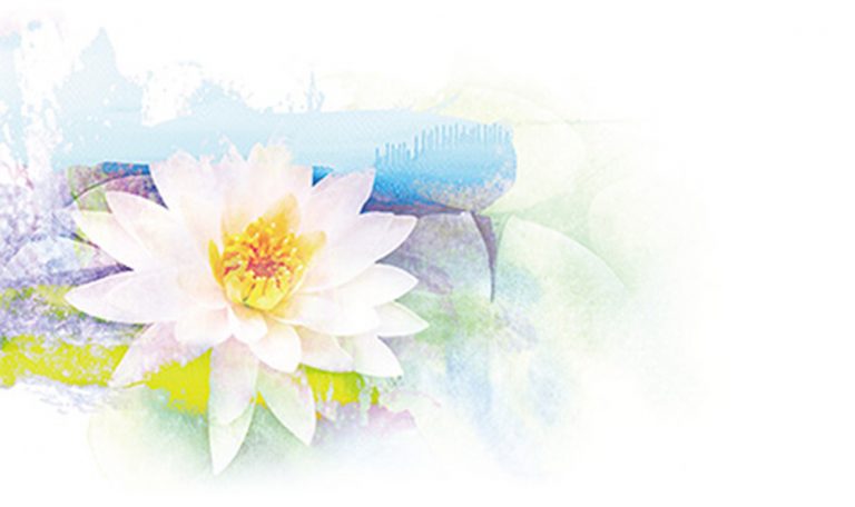 成就智慧华果（一）