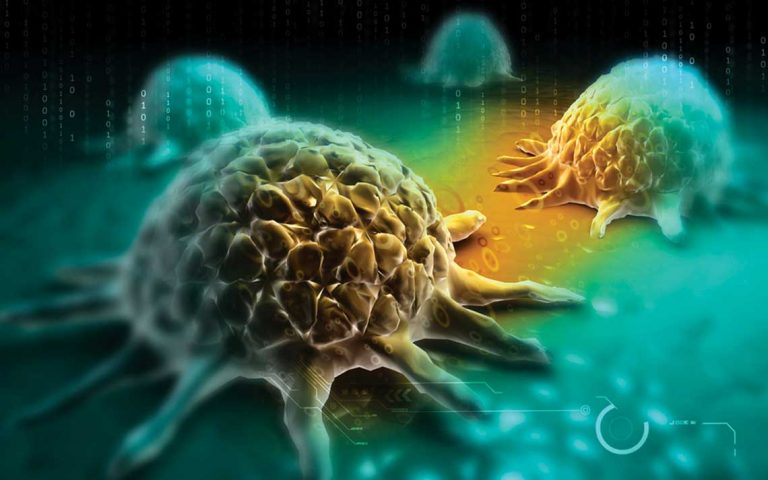 Using the Power of the Immune system